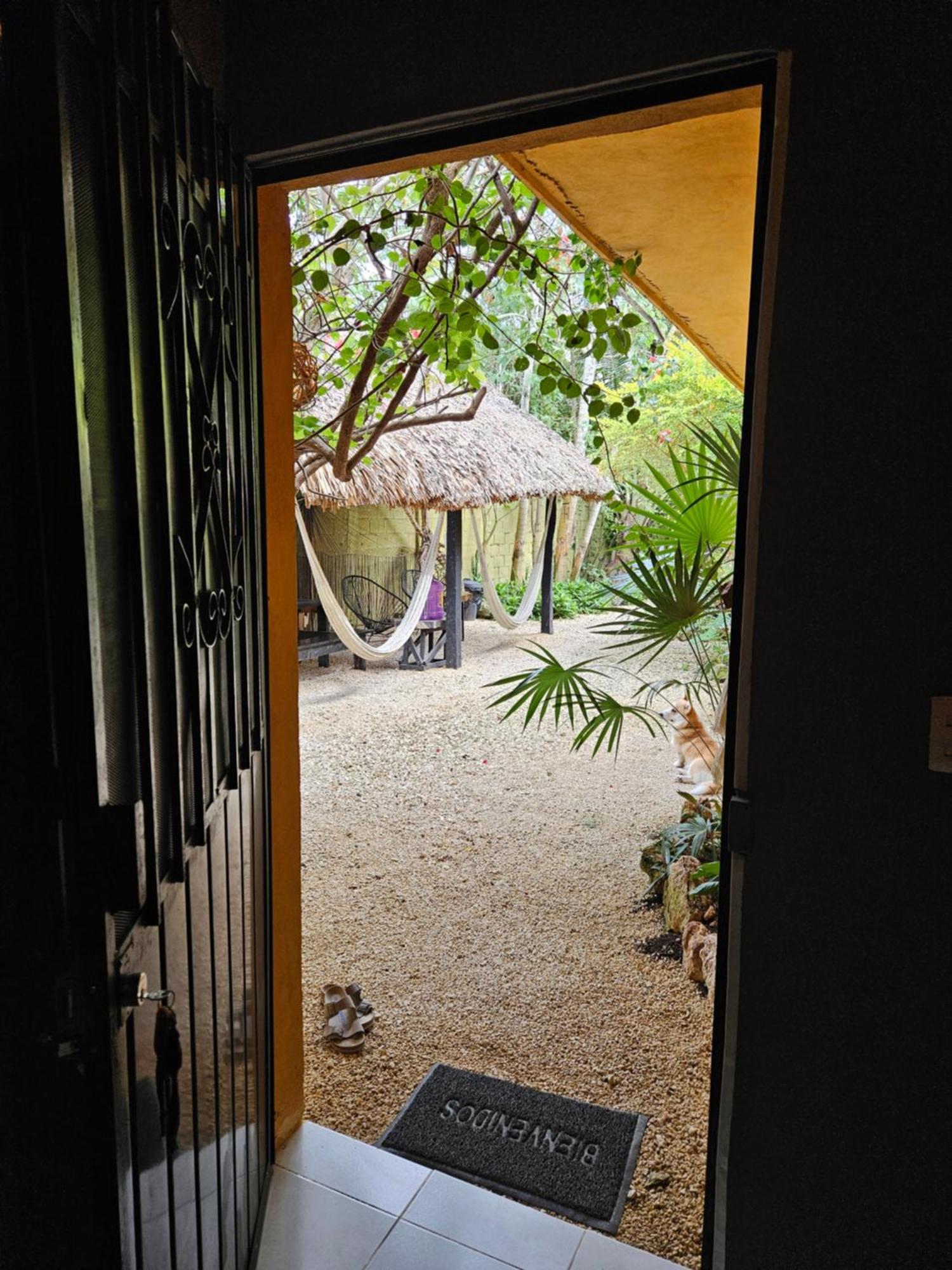 Jungla Bacalar Apartamento Exterior foto