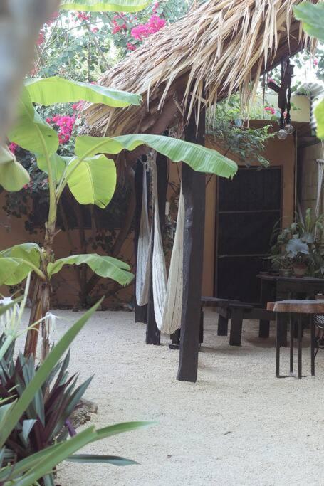 Jungla Bacalar Apartamento Exterior foto