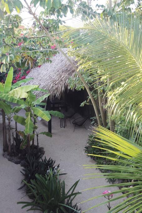 Jungla Bacalar Apartamento Exterior foto