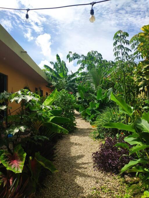 Jungla Bacalar Apartamento Exterior foto