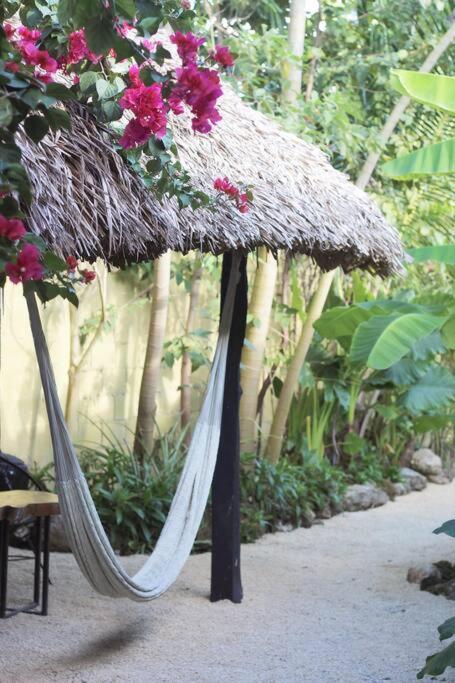 Jungla Bacalar Apartamento Exterior foto
