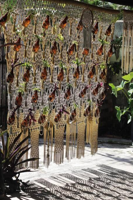Jungla Bacalar Apartamento Exterior foto