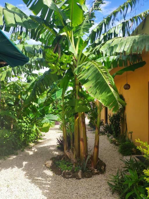 Jungla Bacalar Apartamento Exterior foto