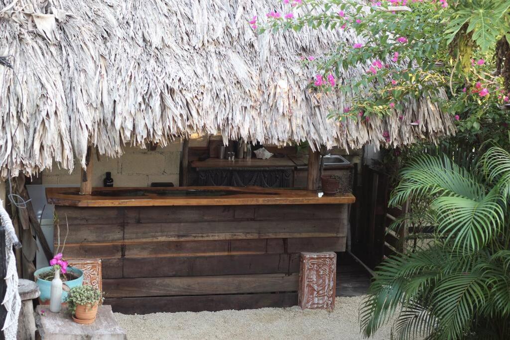 Jungla Bacalar Apartamento Exterior foto
